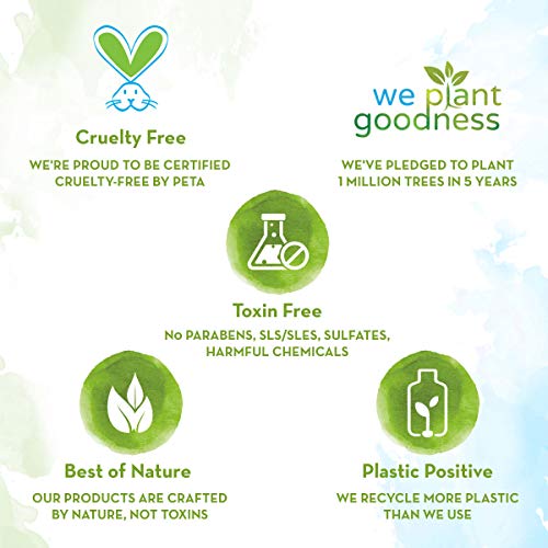mamaearth rice water shampoo 
