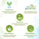 mamaearth rice water shampoo 