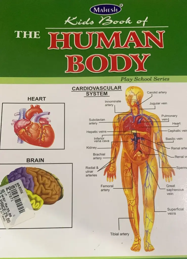 Kids book for the human body 