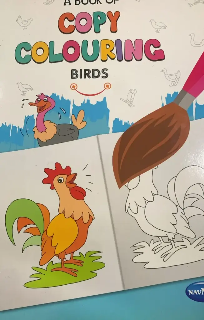 Colouring birds book