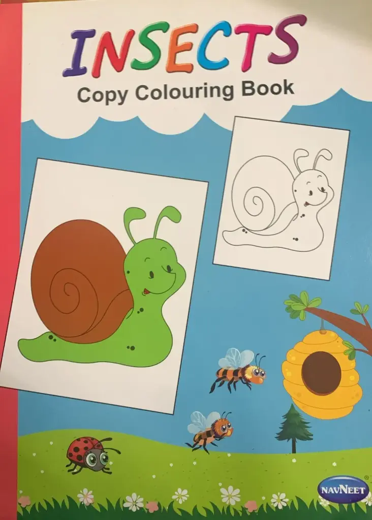 Insects copy colouring book 