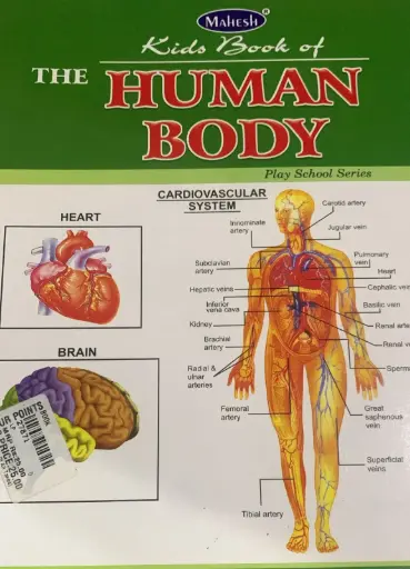 Kids book for the human body 
