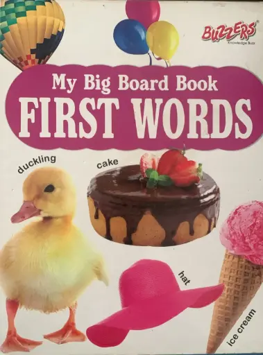 My big board book first words 