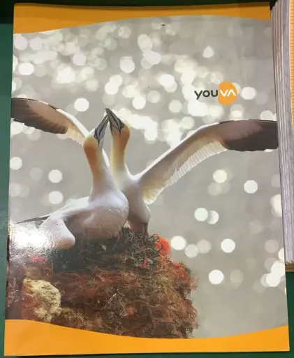 Youva book 176pgs