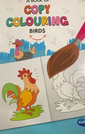 Colouring birds book