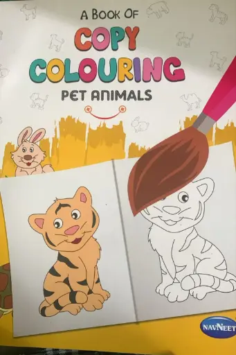 Copy colouring pet animals