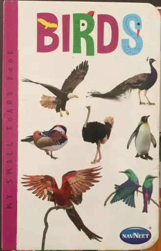 Birds board book 